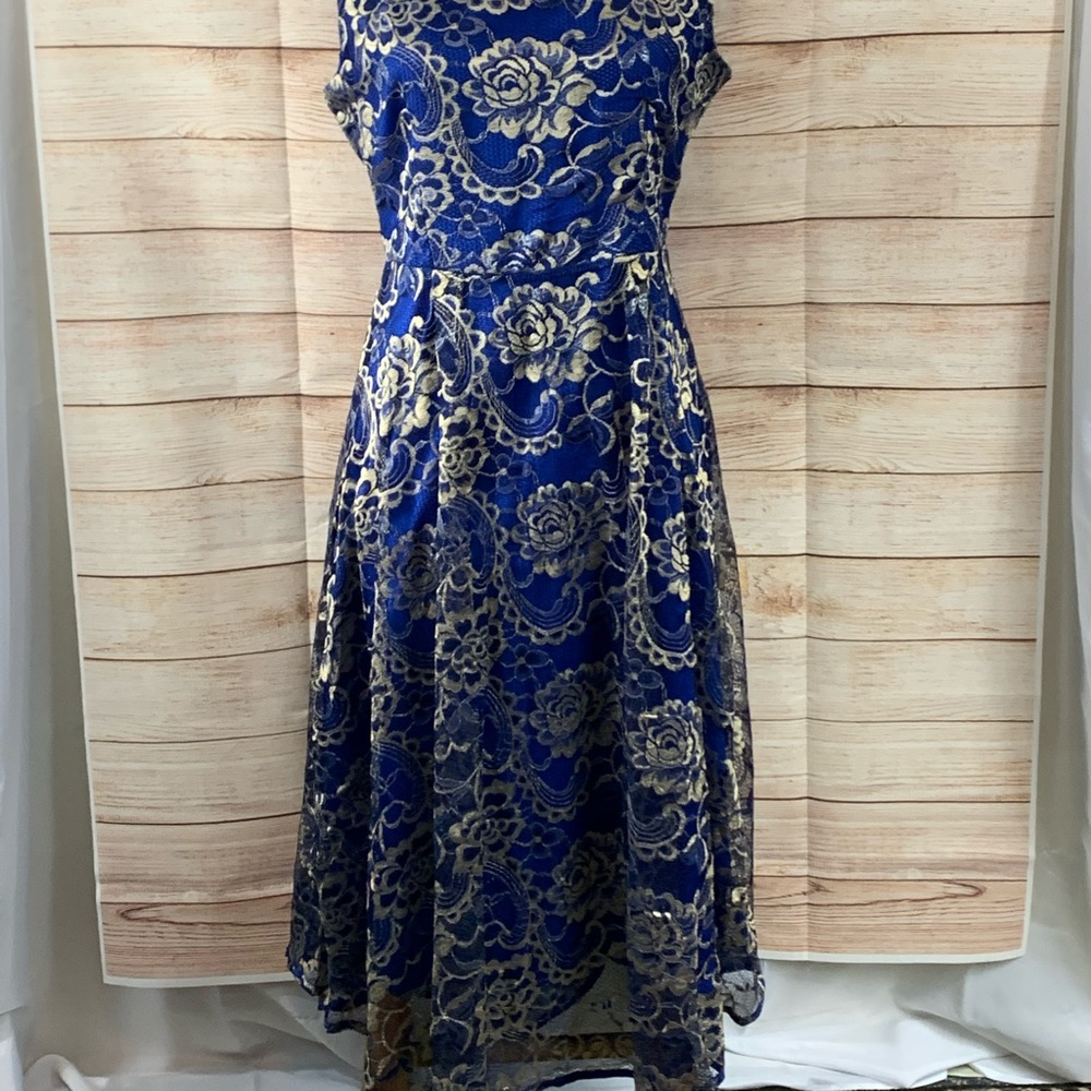 Migeer Blue Sleeveless with Gold Overlay Dress - Picture 3 of 7